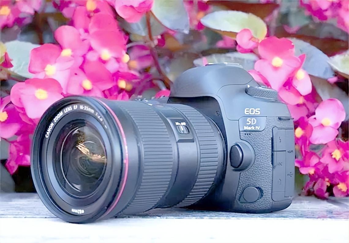 资深玩家票选十大 \"硬核\" 相机,佳能 EOS 5D Mark III 竟只排第 3?