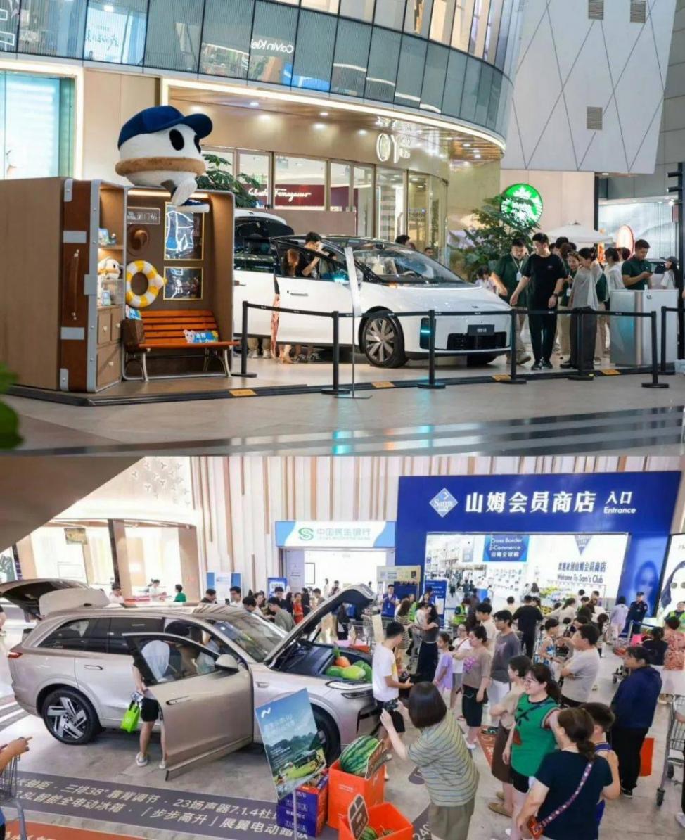 “纠结”的理想i8,“玩命”的乐道L90