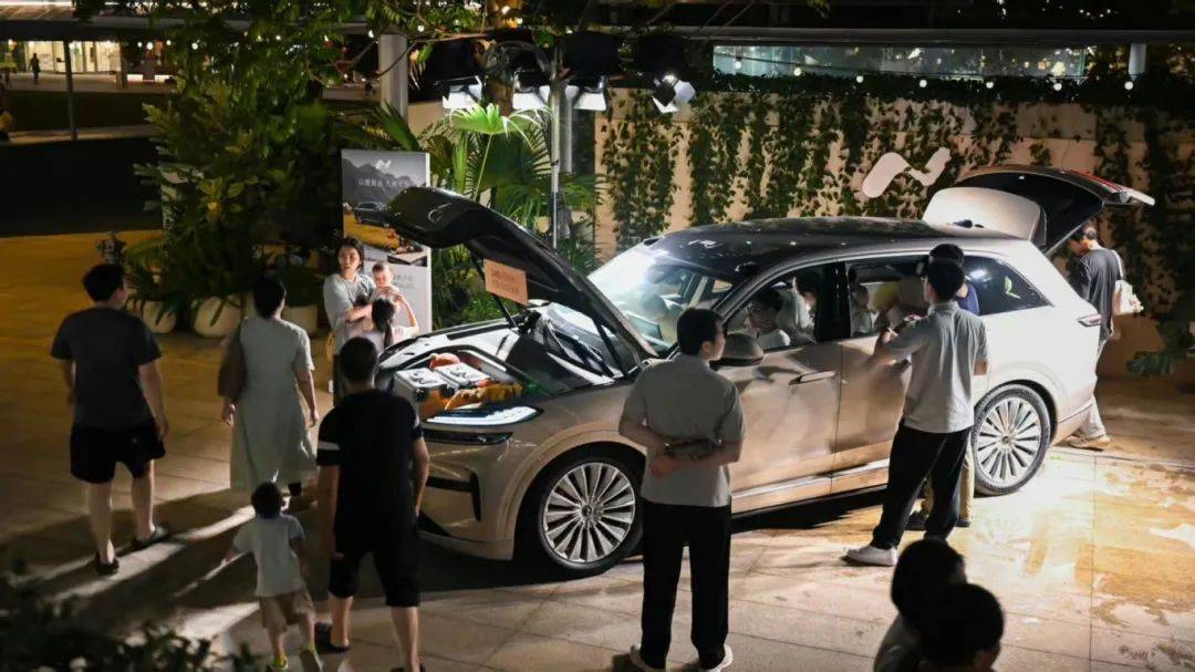 “纠结”的理想i8,“玩命”的乐道L90